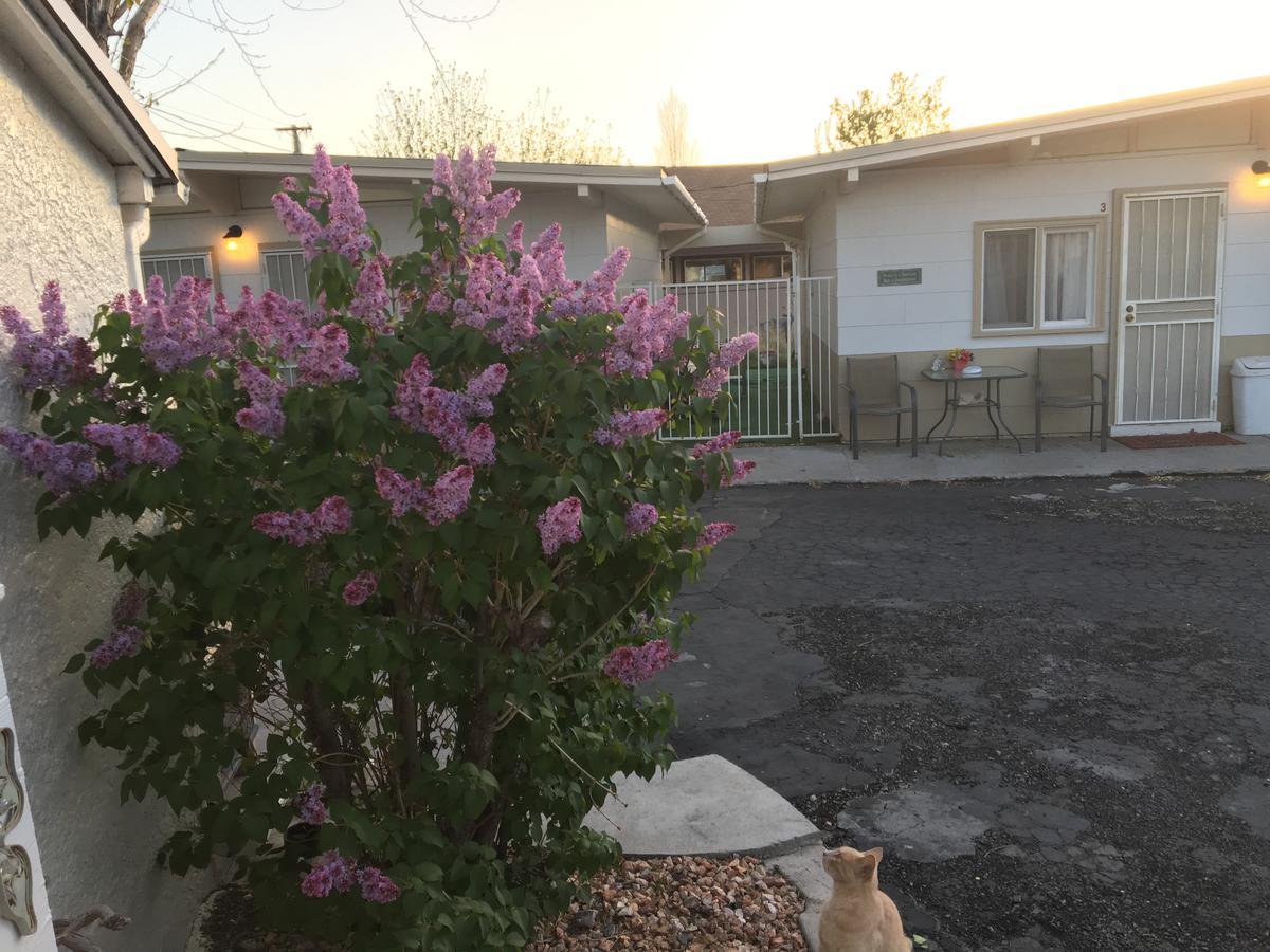 Midway Motel Caliente Dış mekan fotoğraf
